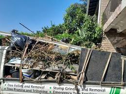 Best Shed Removal  in Lawndale, CA